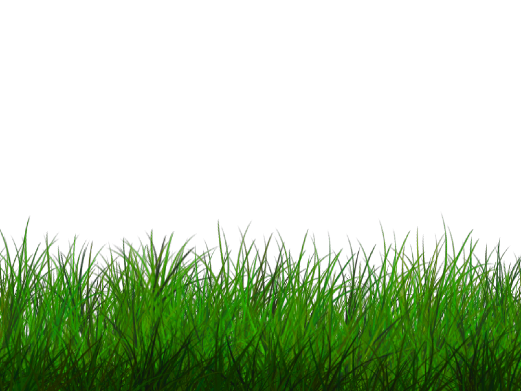 Поле прозрачный фон. Трава фон. Трава для фотошопа. Газон на белом фоне. Текстура травы прозрачная.