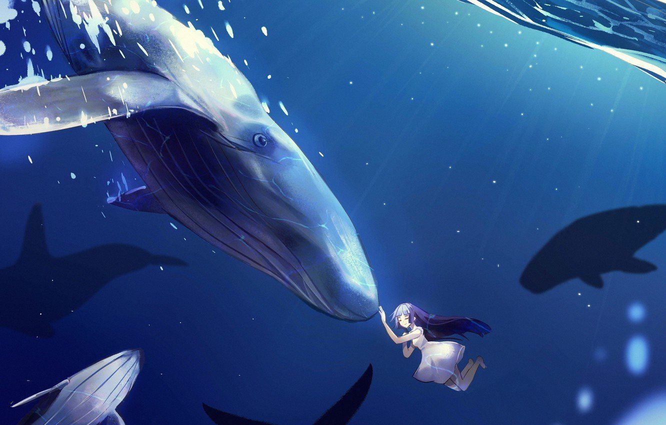 Девушка и кит. Кит арт. Сказочный кит. Дельфины.