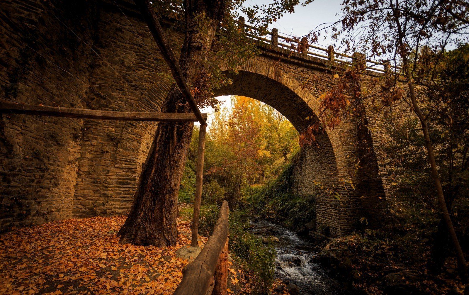 Шервудский лес каменный мост