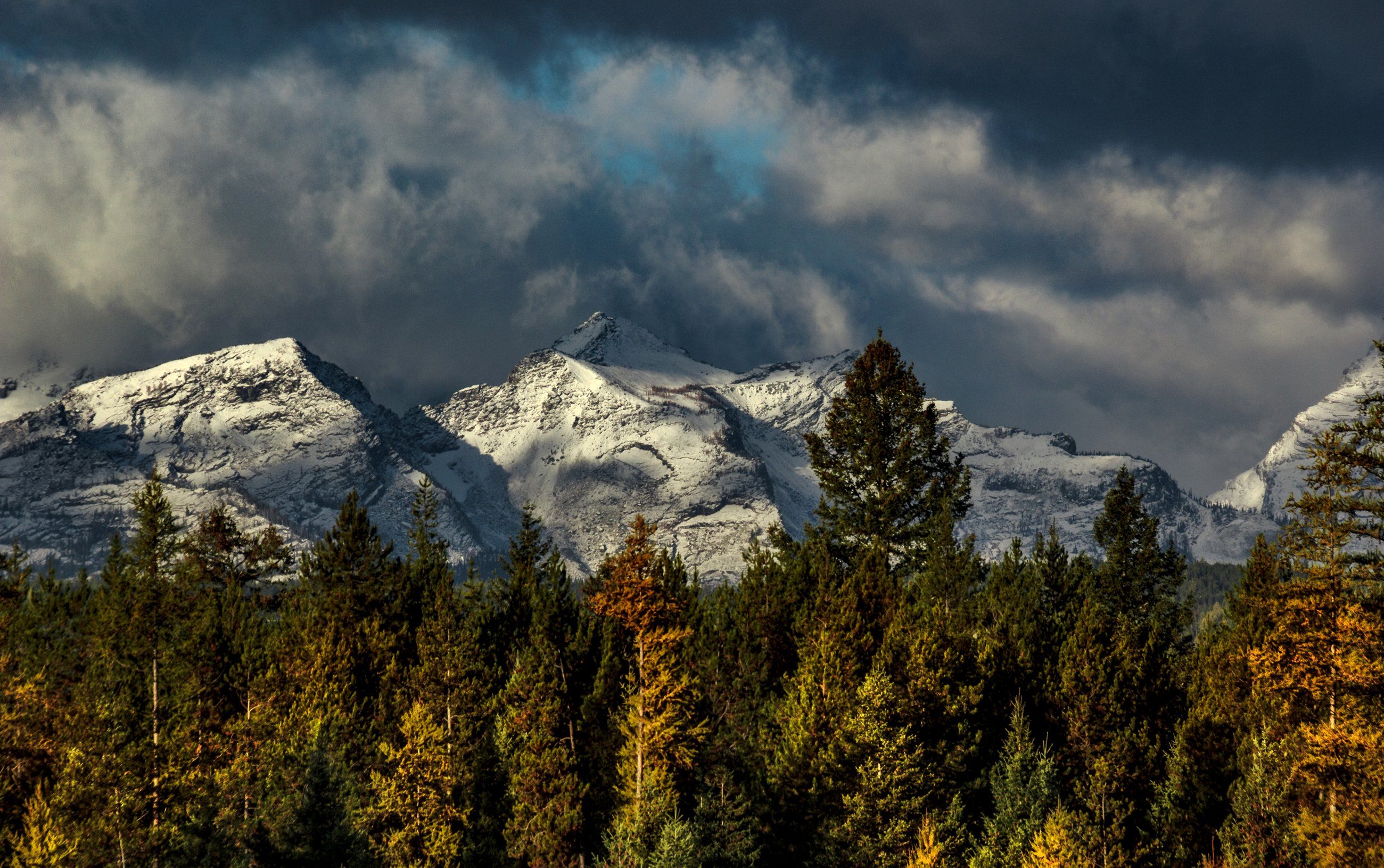 Штат сша гора. Штат Монтана лес. Пик Энчентмент, штат Вашингтон, США. Штат Монтана природа горы лес. Горы штата Монтана.