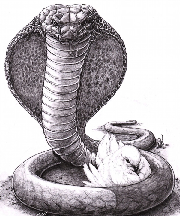 Королевская кобра арт