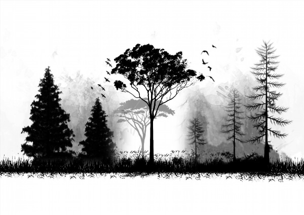 Лес черно белый рисунок