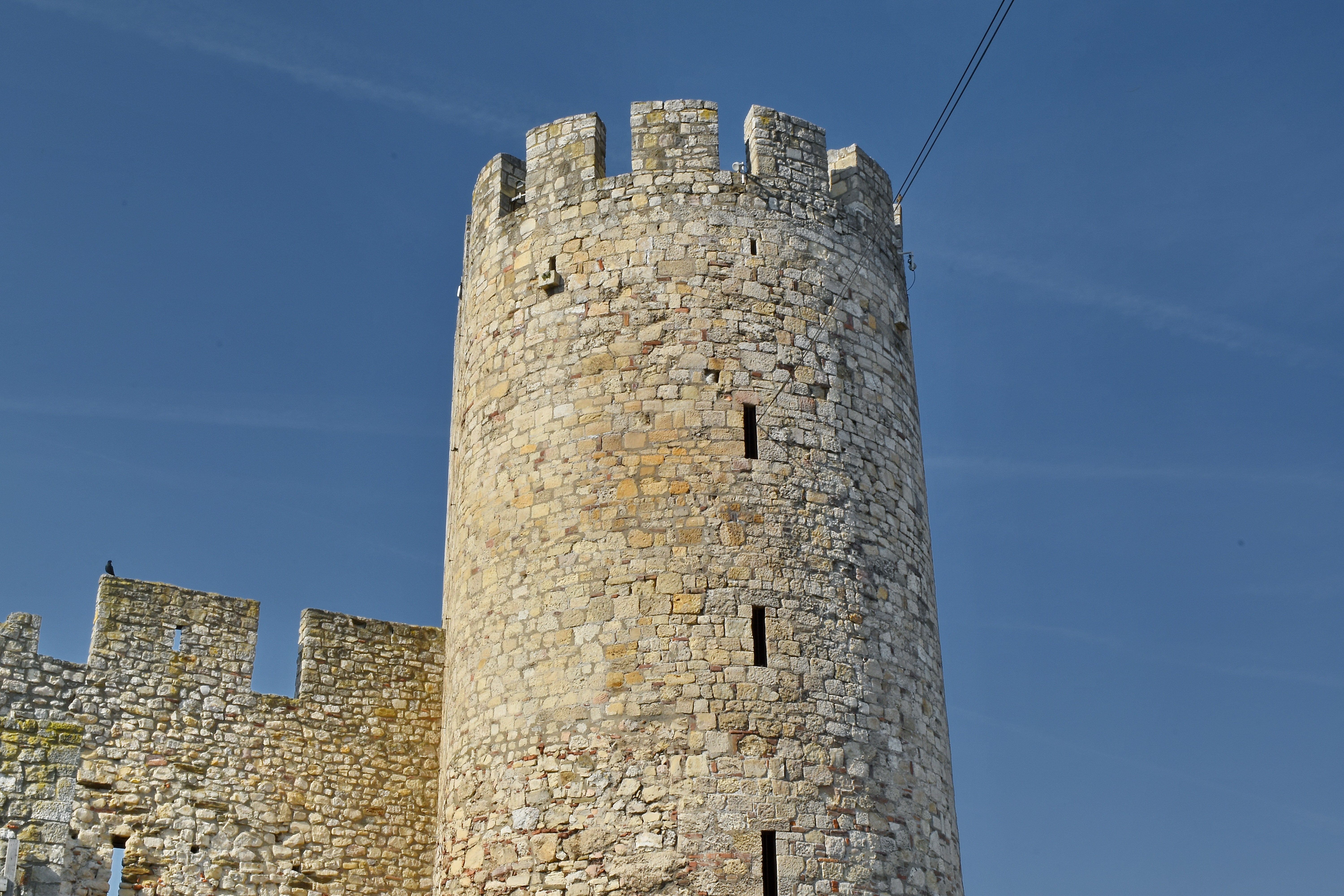 Башня рены. Средневековые сторожевые башни. Александрия крепость сторожевые башни. Сторожевая башня средневековье. Дозорная башня средневековья.