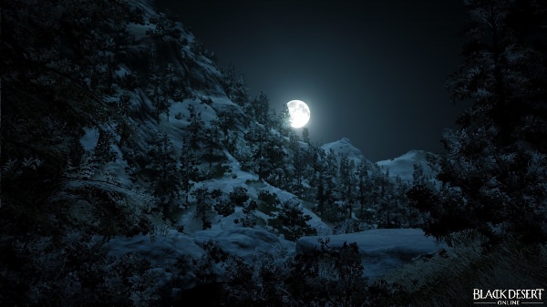 Снежный лес ночью