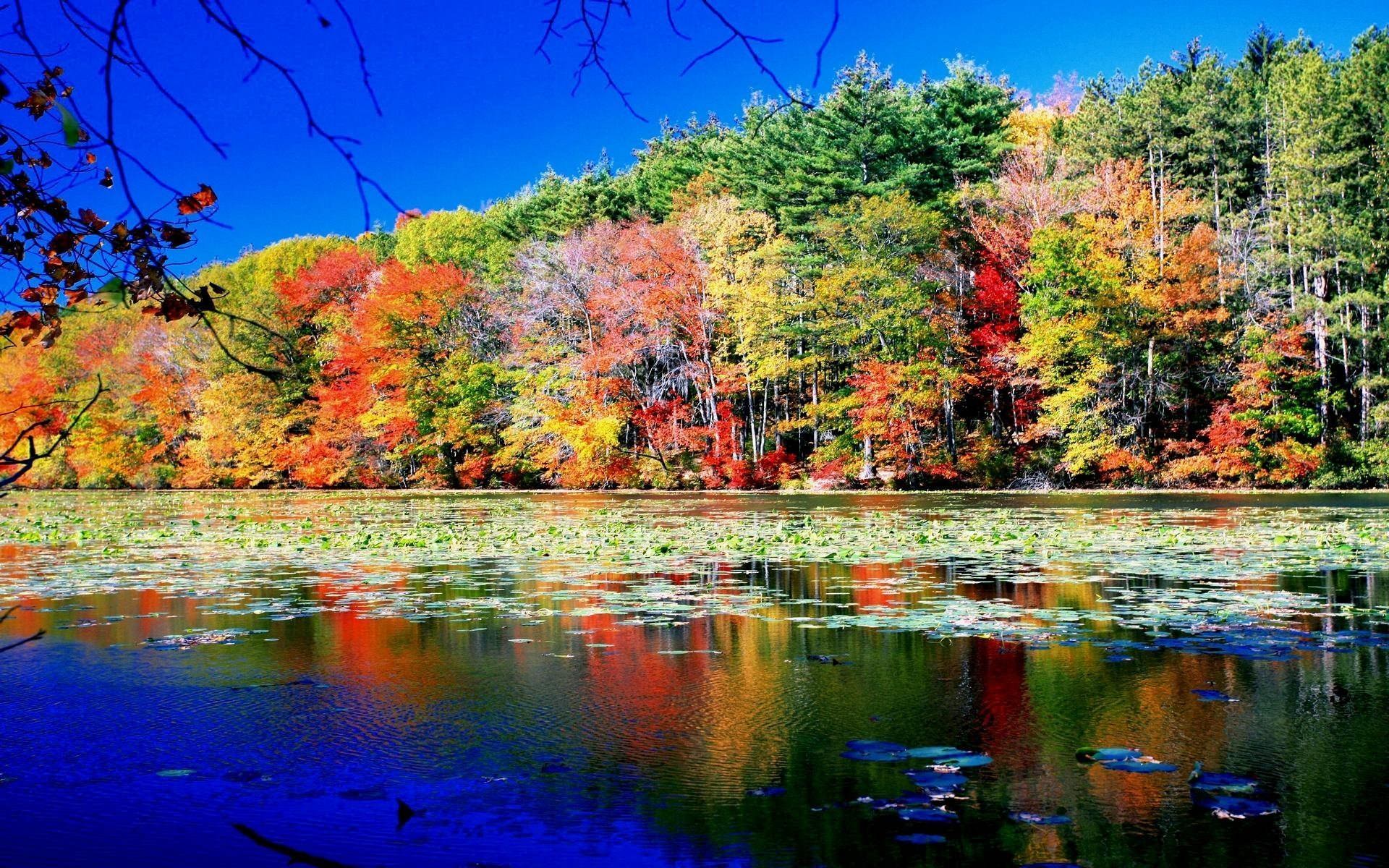 Осень очень красива. Красивая осень. Природа осень. Красота осени. Природа осенью.