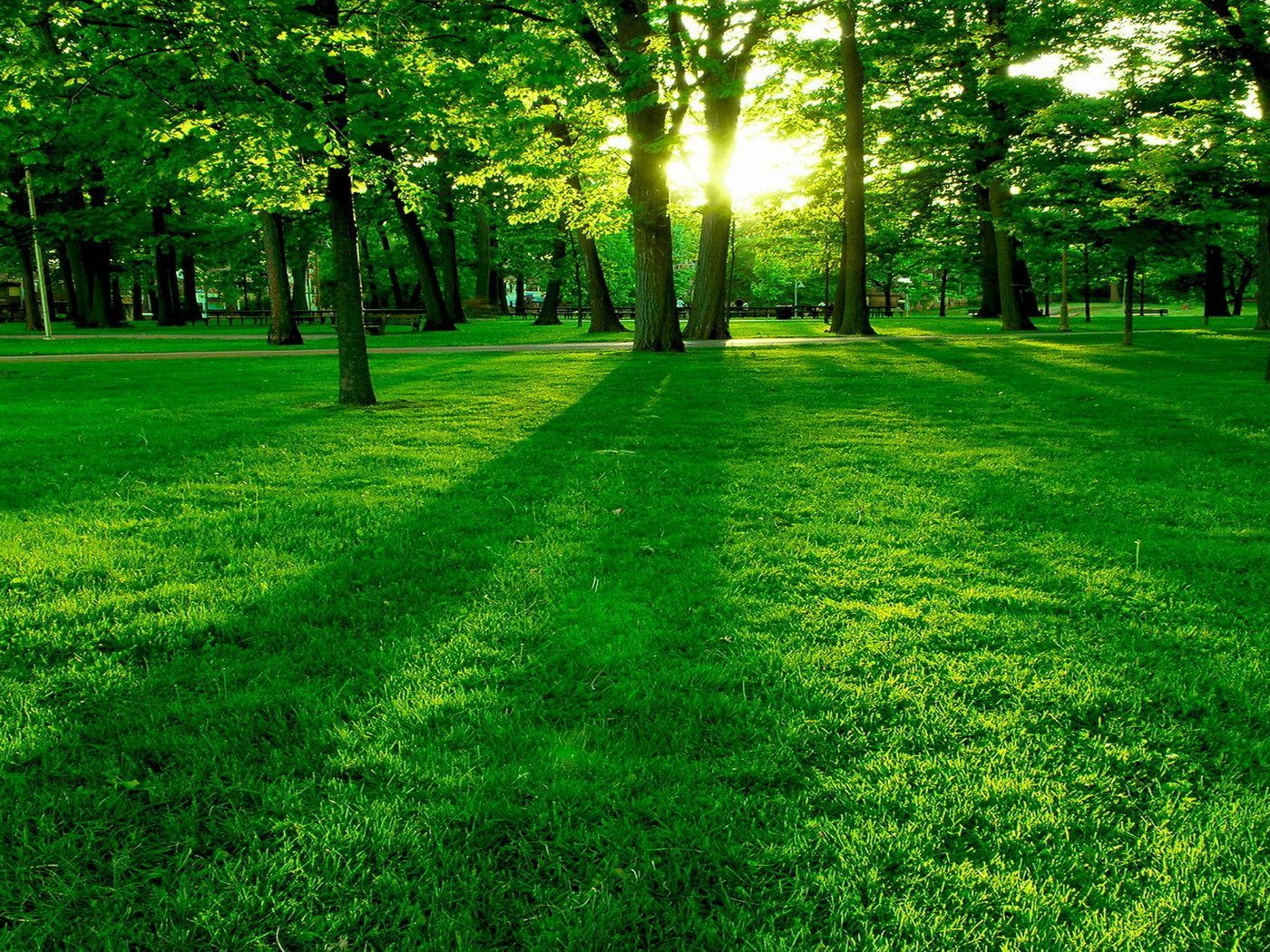 Is green and beautiful. Зеленый фон природа. Задний фон для фотошопа природа. Ярко зеленый пейзаж. Зеленый парк.