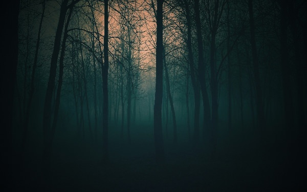 Фон страшный лес