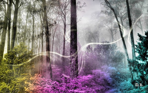 Волшебный лес природа