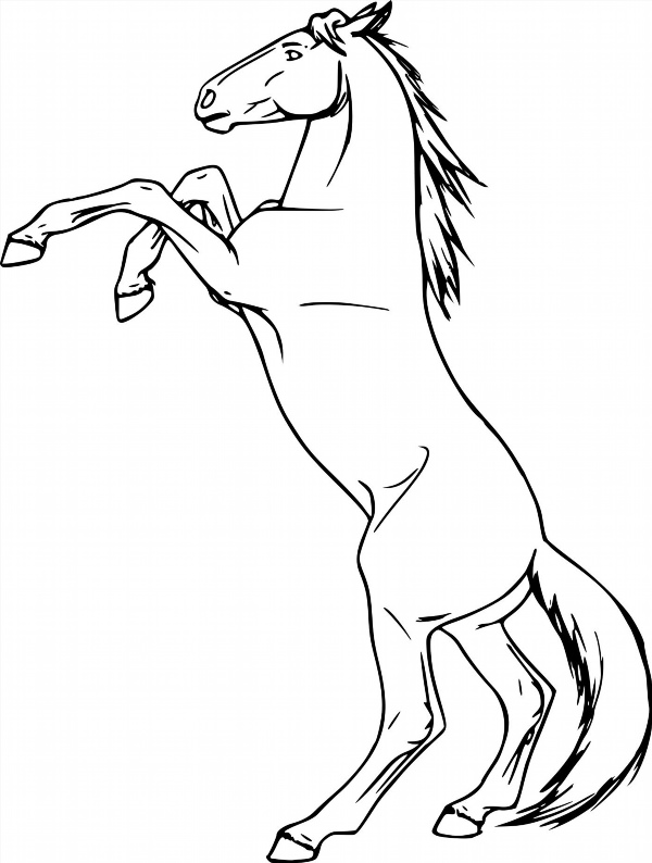 Лошадь на дыбах рисунок карандашом