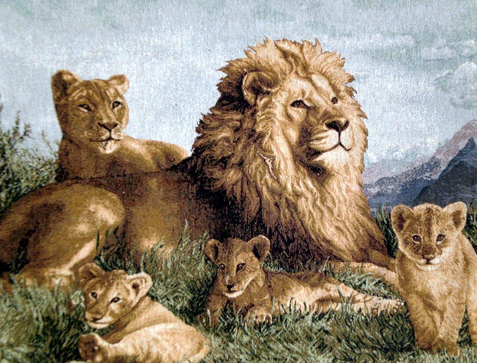 Львиная семья