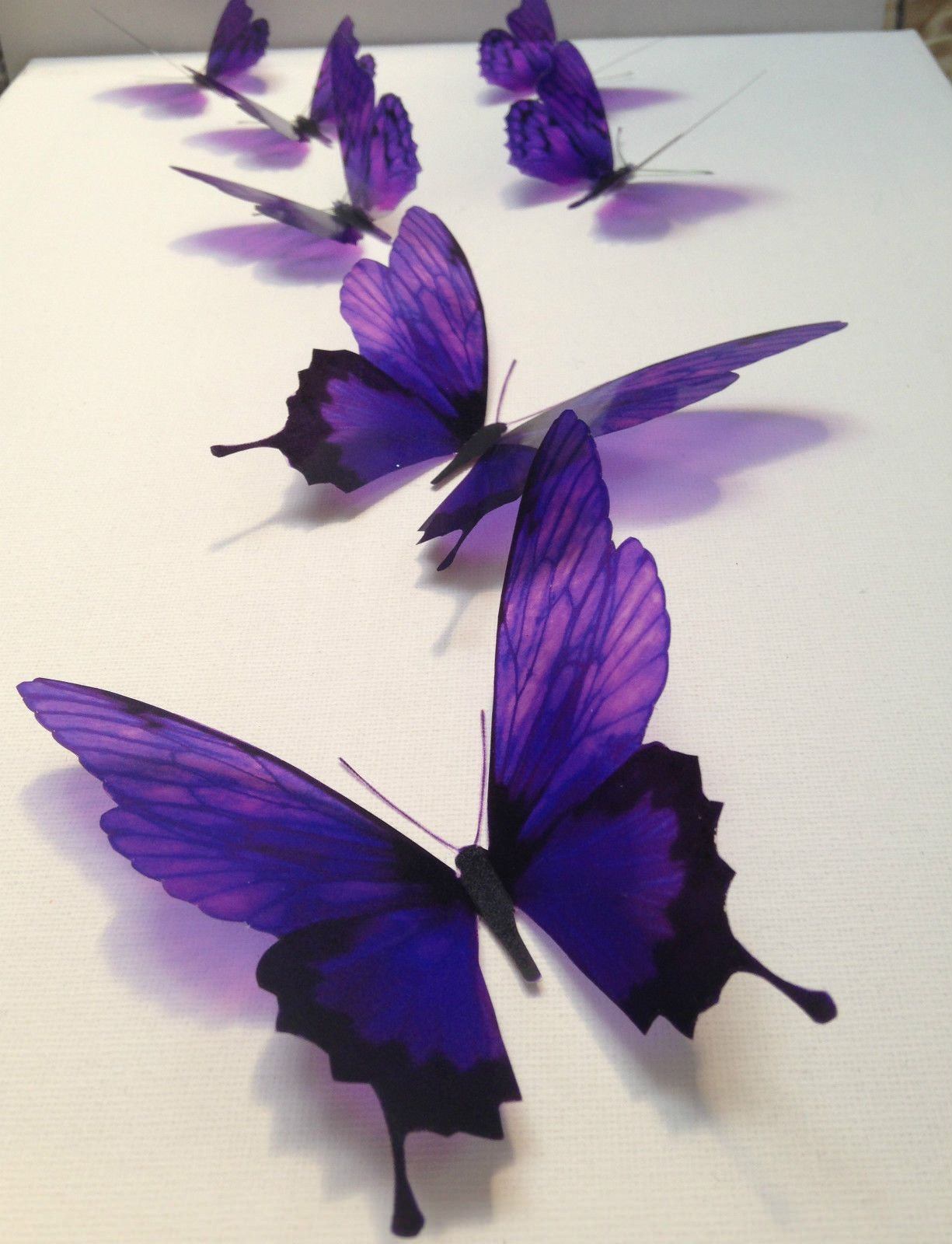 Бабочки фиолетового цвета. Сиреневые бабочки. Бабочка фиолетовая. Фиолетовые бабочки Эстетика.