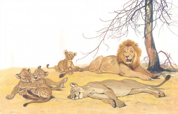 Львица и львенок рисунок