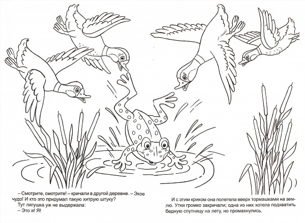 Иллюстрация к сказке лягушка путешественница