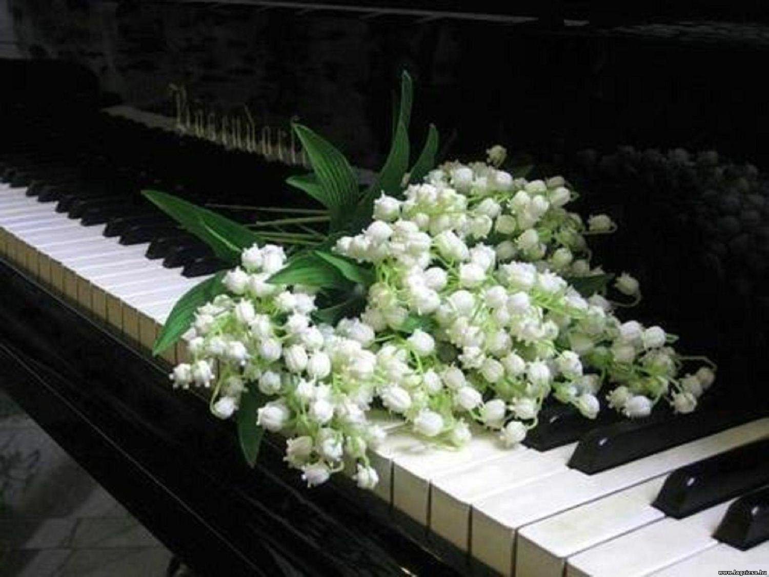 Слушать музыку я подарю тебе ландыши. Цветы на рояле. Музыкальный букет. Рояль с цветами. Ландыши на пианино.