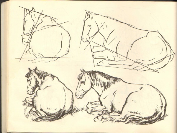 Лошадь лежит рисунок