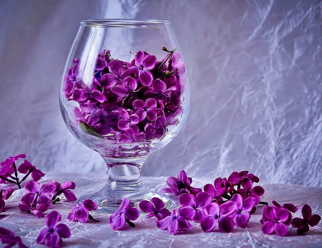 Цветы в стакане фото