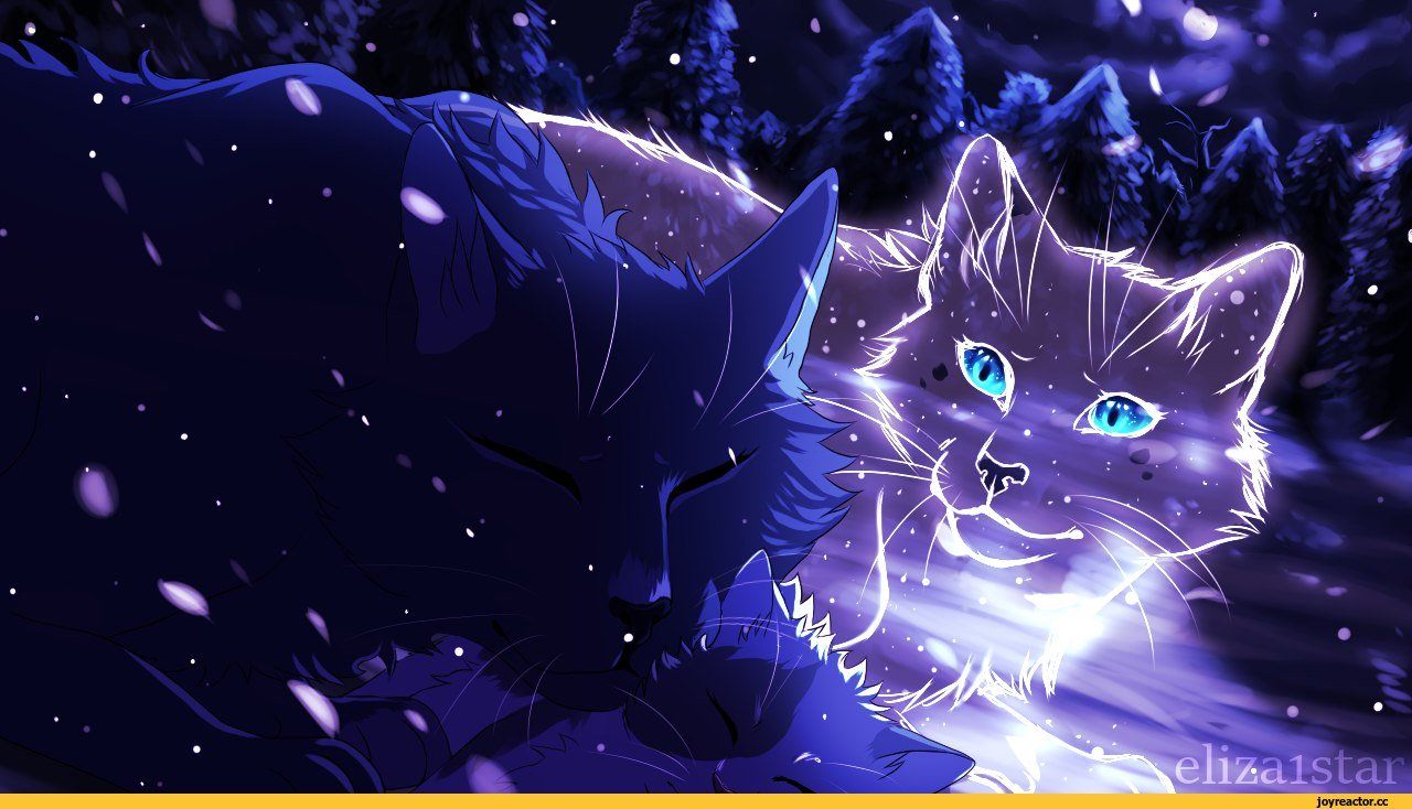 Nightcat 1. Коты Воители синяя звезда. Коты Воители Звёздное племя Белогривка. Коты Воители синяя звезда в Звездном племени. Коты Воители ночная звезда.