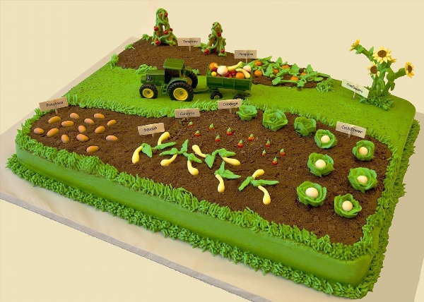 Торт сельское хозяйство