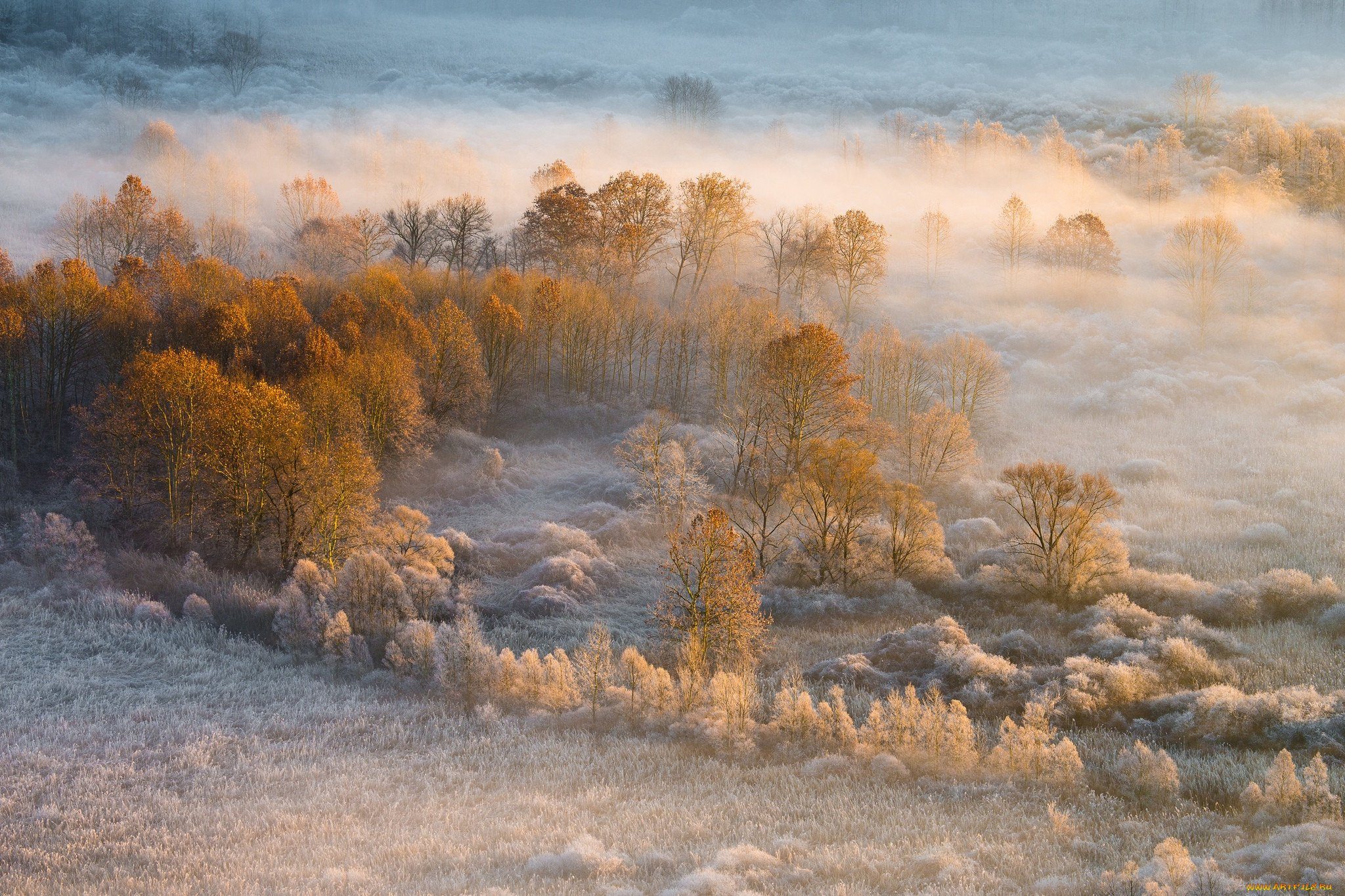 Утро ноября картинки. Ноябрь туман. Туманное осеннее утро. Иней в пейзаже. Утро осень иней.