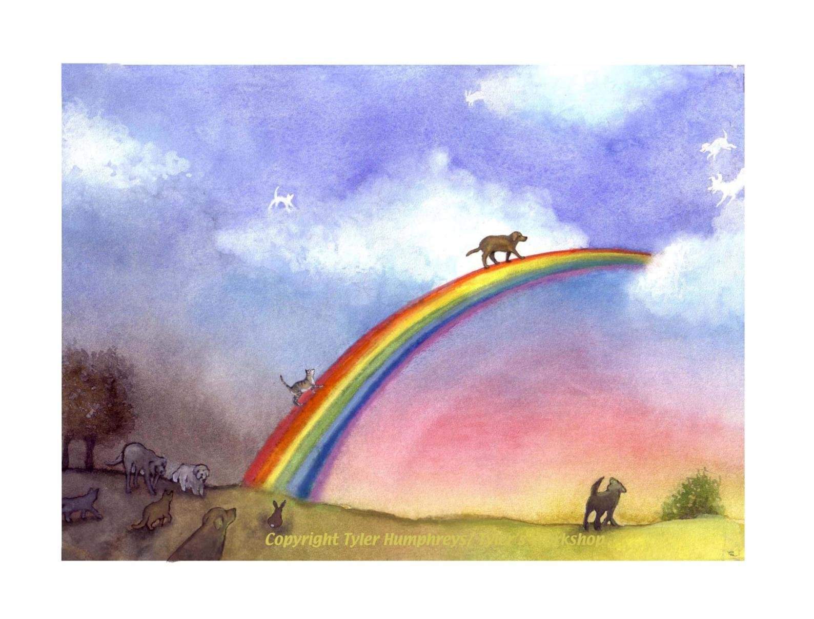Ушедшие питомцы. Собака на радуге. Мост радуги. Ушел на радугу. Кот с радугой.