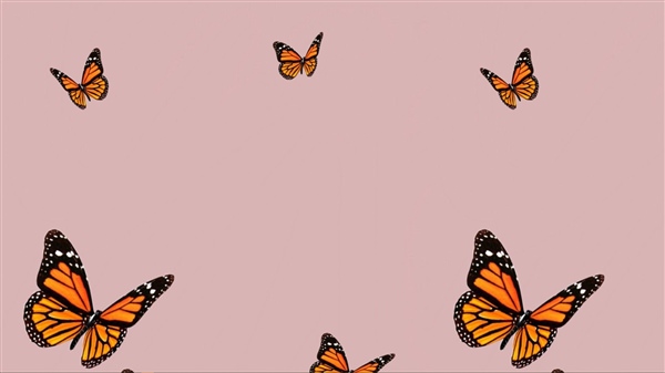 Обои на айфон бабочки