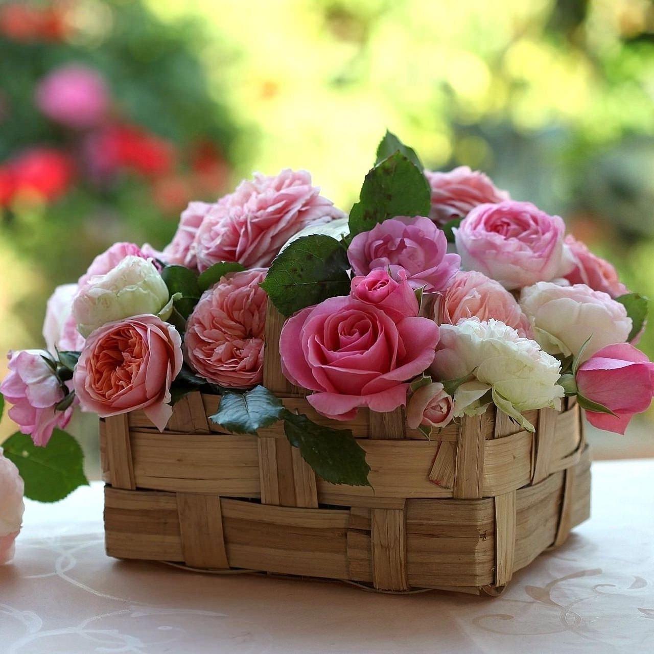 Корзина с цветами с днем рождения женщине. Цветы в корзине. Корзина с цветами. Букет цветов в корзине. Нежный букет на день рождения.