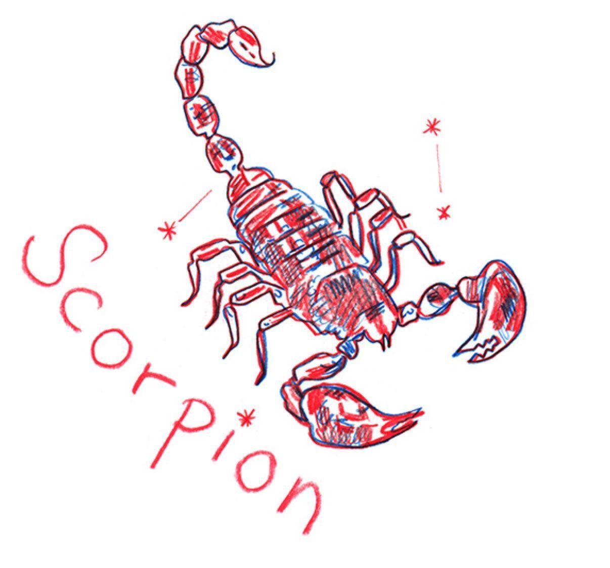 Мужчина рожденный крыса скорпион. Скорпион. Скорпион знак. Скорпион Зодиак. Скорпион знак зодиака рисунок.