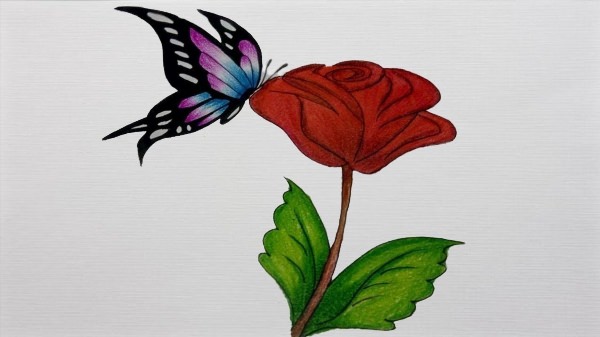 Бабочки на цветах рисунок