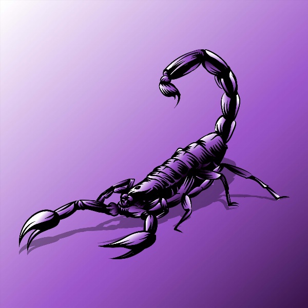 Скорпион арт