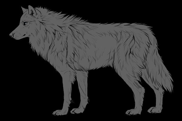 Волк в профиль рисунок