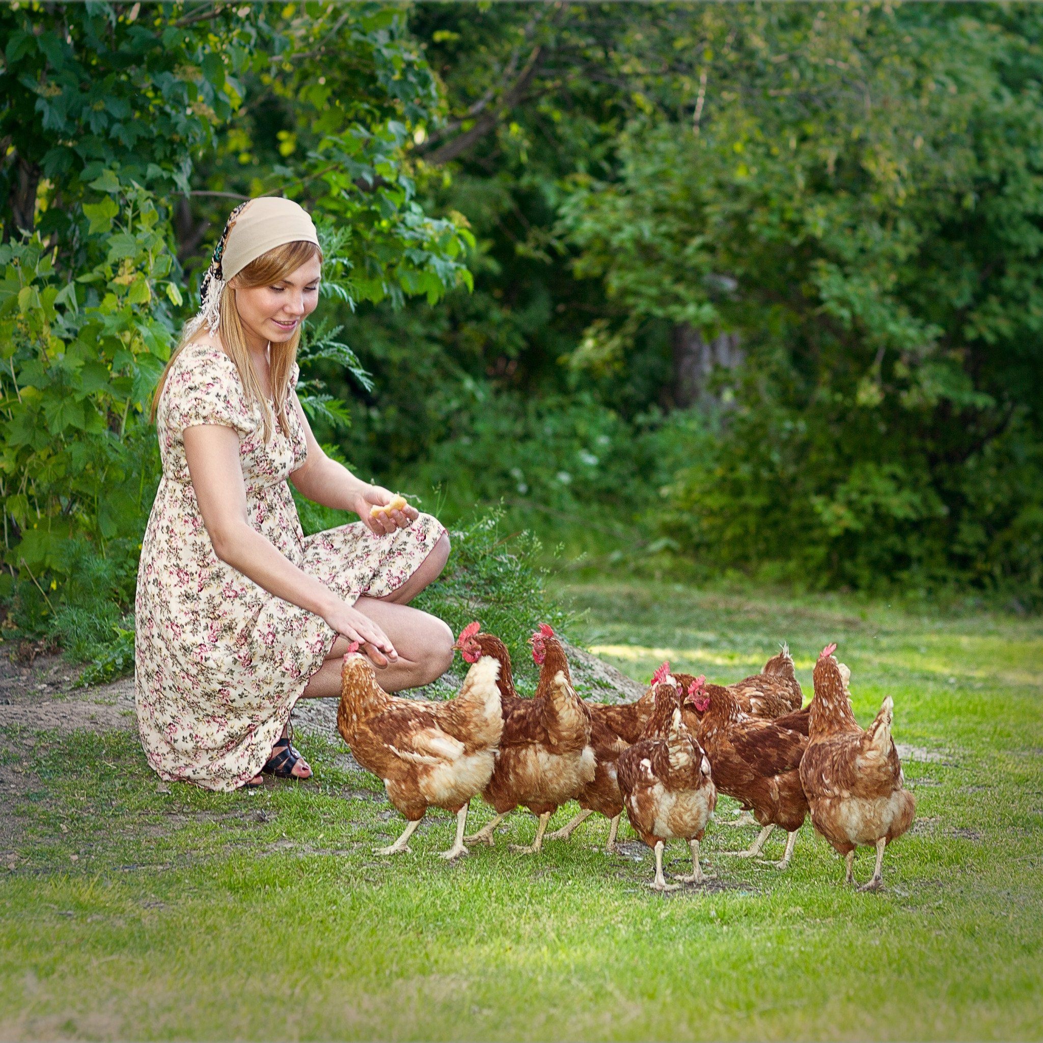 курицы нижнего новгорода фото девушек