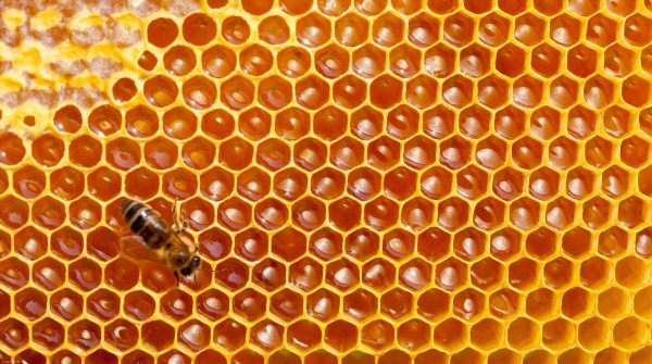 Фоны с пчелиными сотами