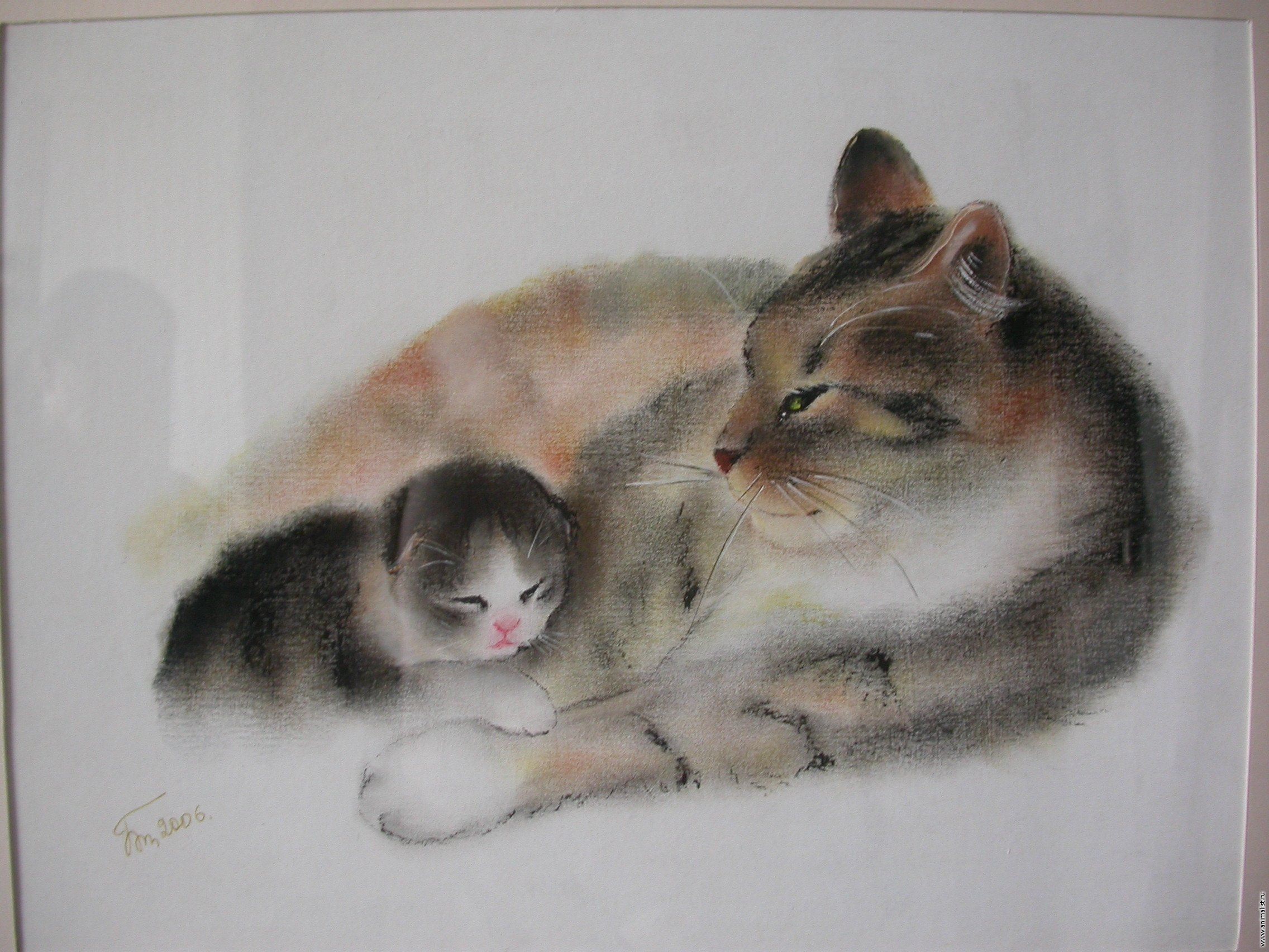 Про маму кошку. Животные пастелью. Кот пастелью. Рисунки пастелью. Рисование животных пастелью.