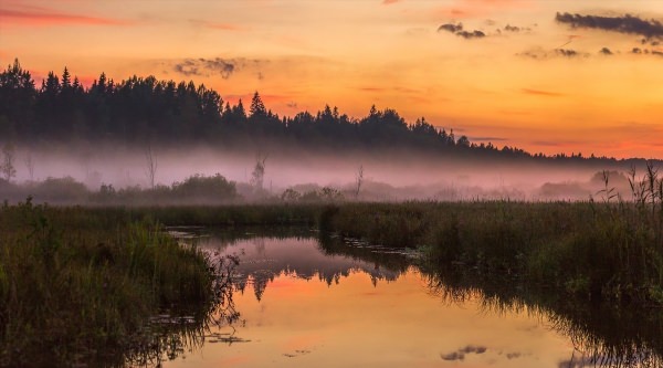 Закат над болотом
