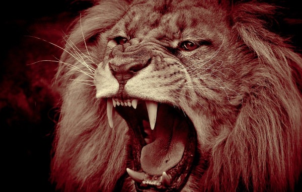 Страшный лев