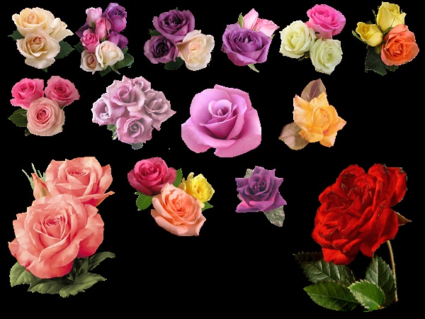 Цветы для фотошопа
