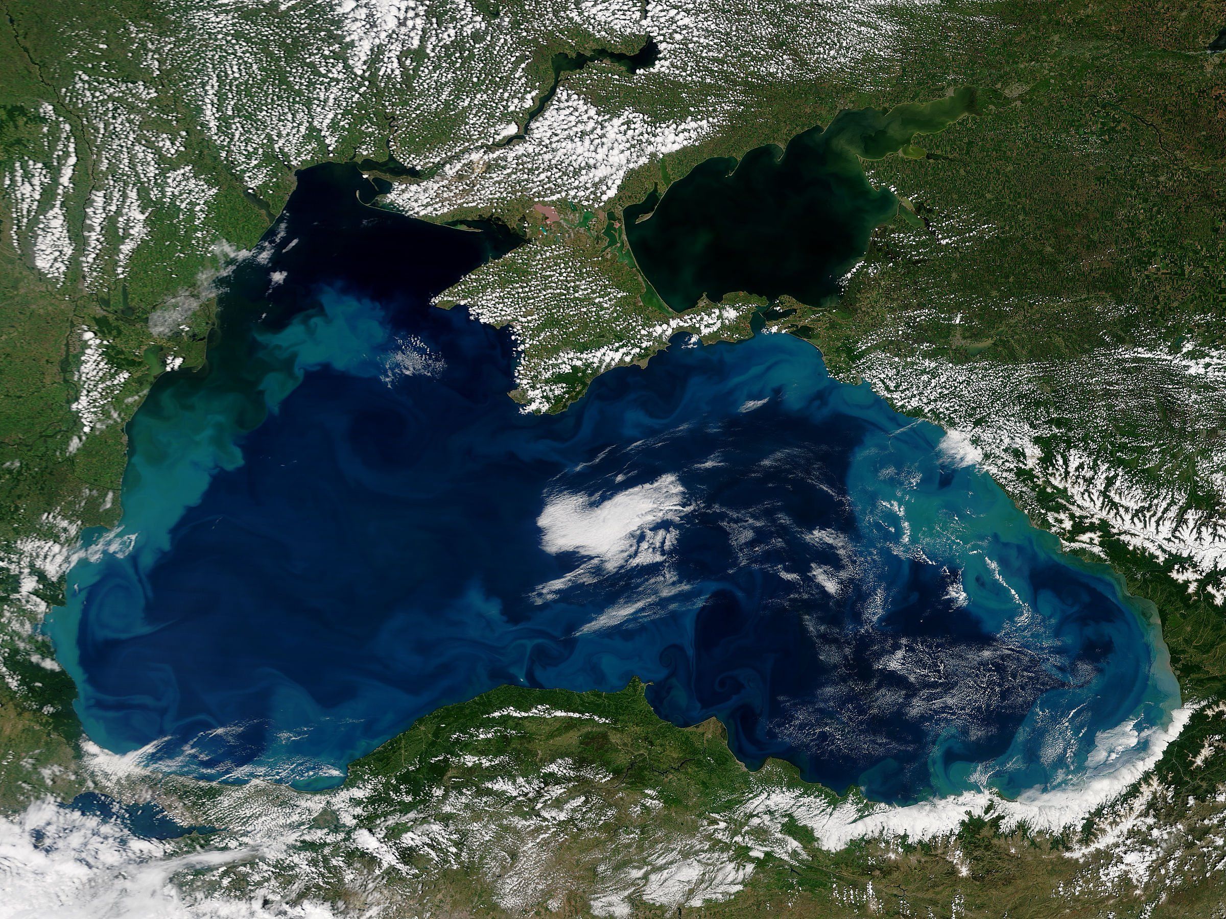 Черное море в реальном времени