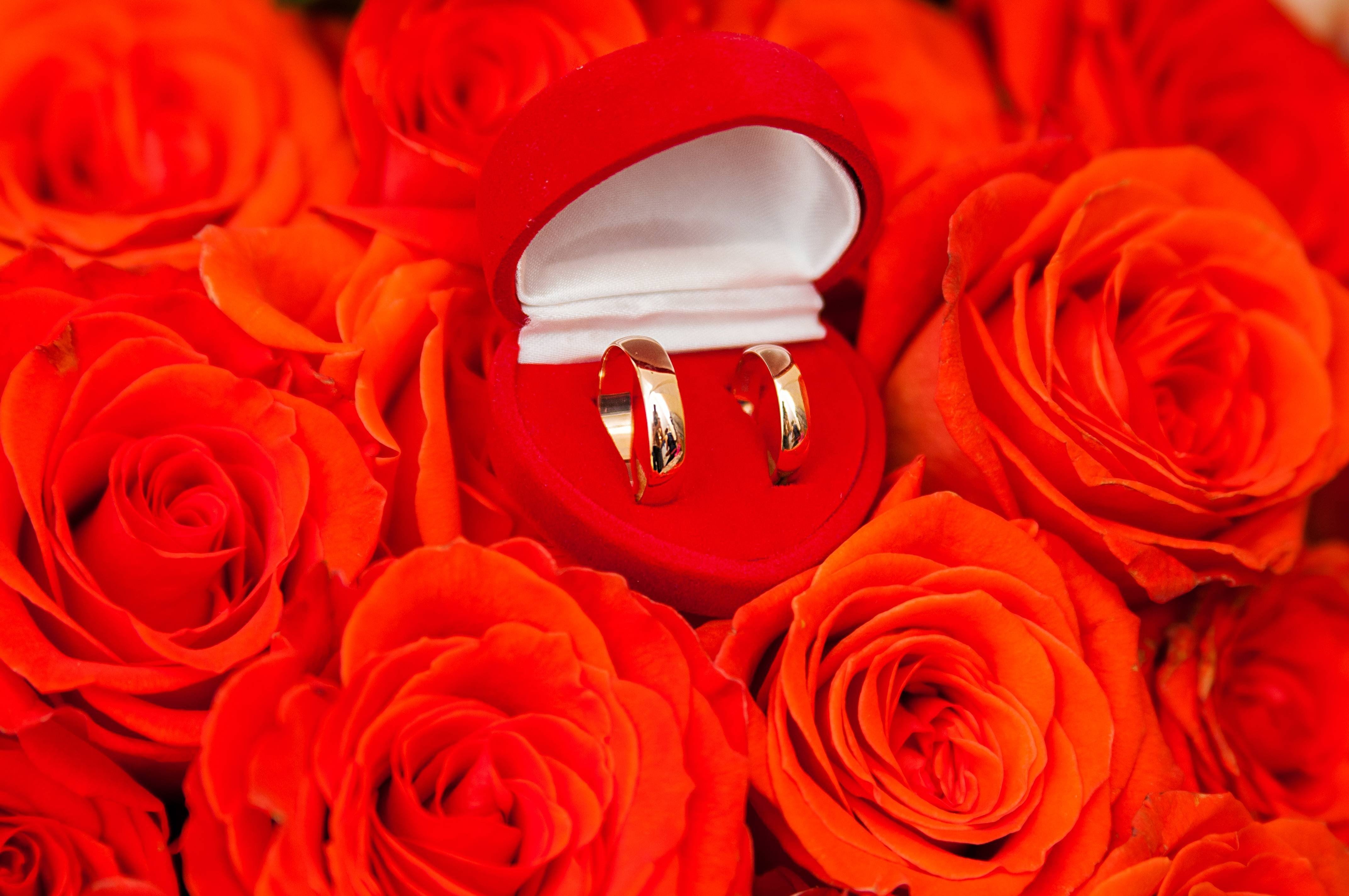 Фото кольца и цветов. Розы и обручальные кольца. Свадебные кольца в коробочке.