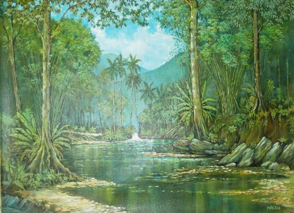Пейзаж джунгли