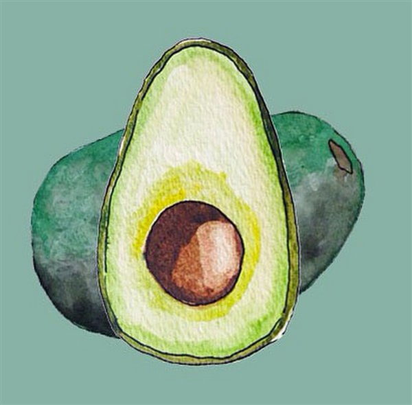 Рисунок авокадо для срисовки легкие