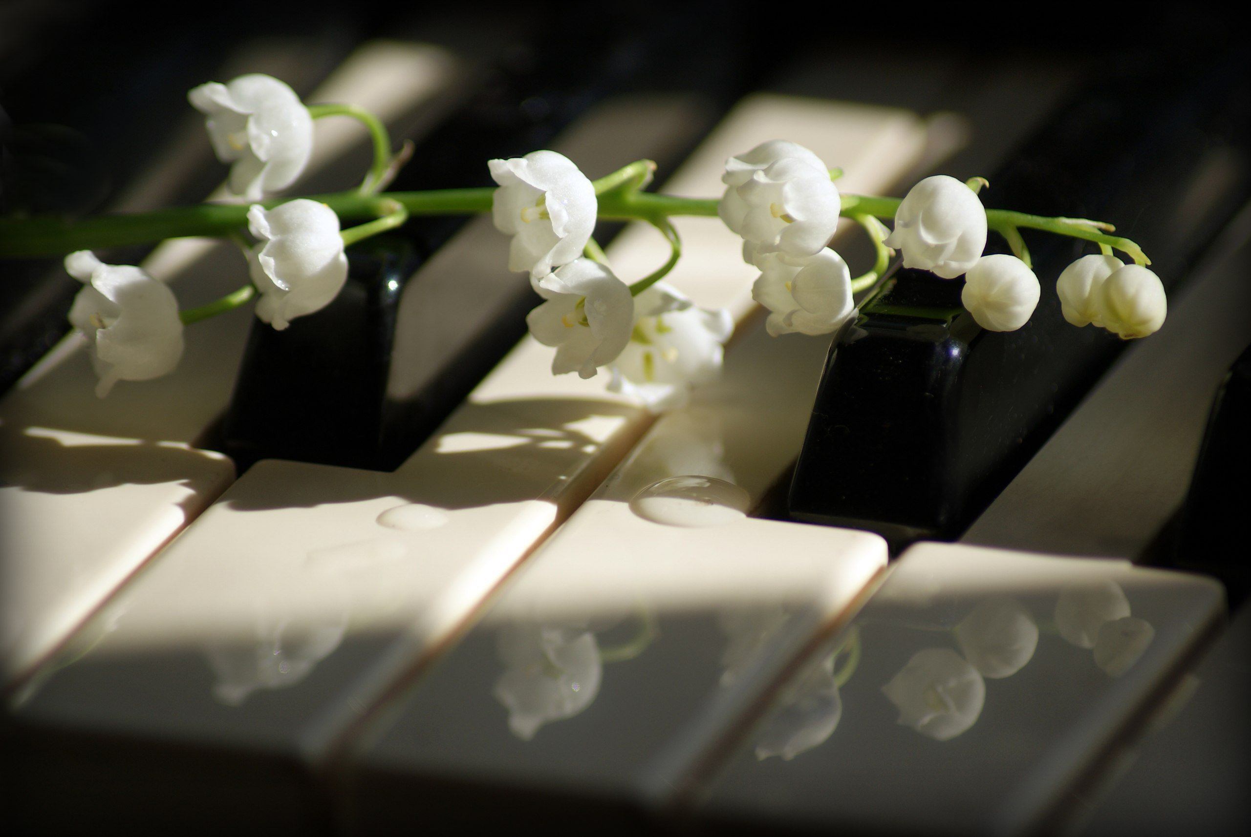 Белые цветы музыка. Ландыши на рояле. Цветы на рояле. Пианино и весенний букет.