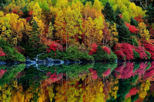 Осенняя красота природы